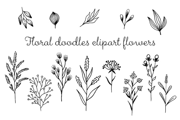 Set of handdrawn floral elements plants branches leaves buds sprouts Vector illustration in doodle style on white background