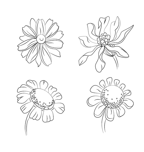 Set of handdrawn flowers