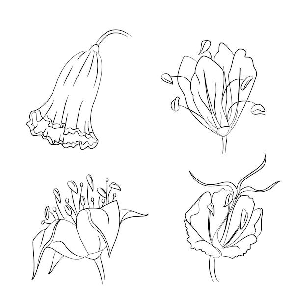 Set of handdrawn flowers