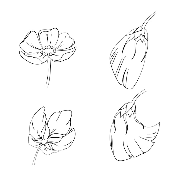 Set of handdrawn flowers