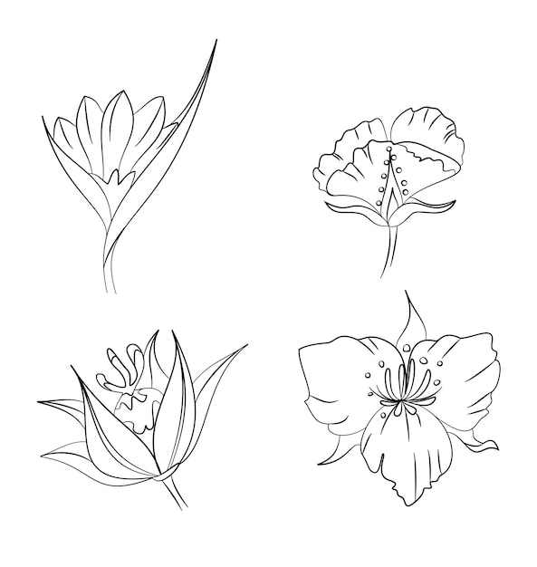 Set of handdrawn flowers