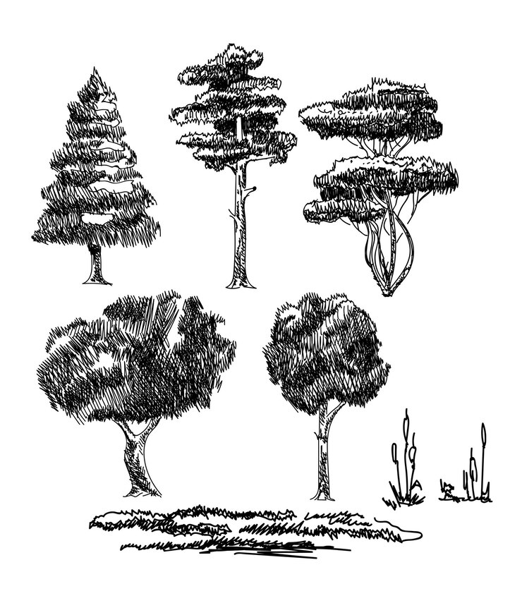 Vector set of handdrawn illustrations of plants