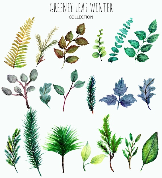 Vector set of handdrawn leaves