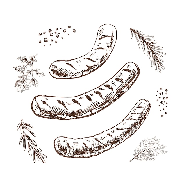 A set of handdrawn sketches of barbecue sausages with herbs and seasonings For the design of the menu of restaurants and cafes grilled sausages Vintage doodle illustration The engraved image