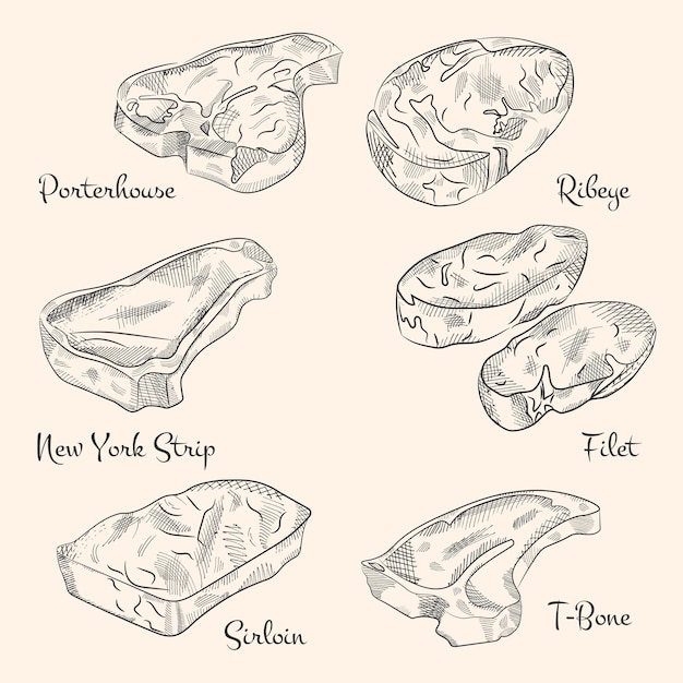 Набор рукописных эскизов различных типов мясных стейков с гравированной винтажной иллюстрацией