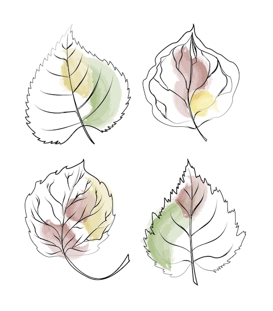 Set of handdrawn tree leaves