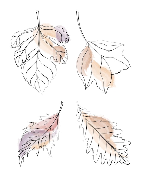 Set of handdrawn tree leaves