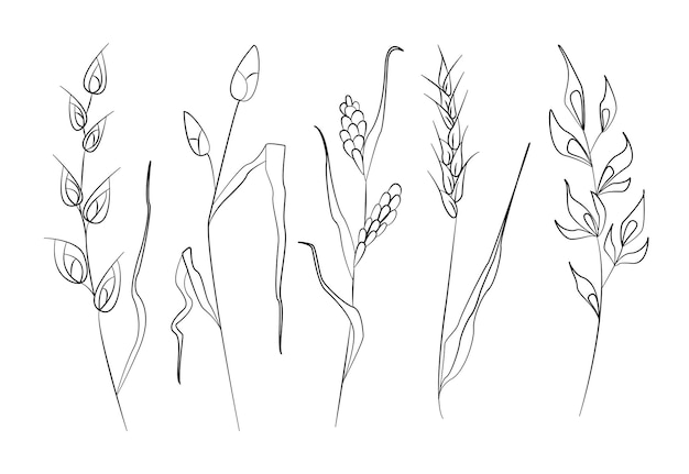 Set of handdrawn wild grass