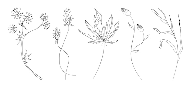 Set of handdrawn wild grass