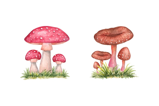 Set handgeschilderde aquarel wilde paddestoelen