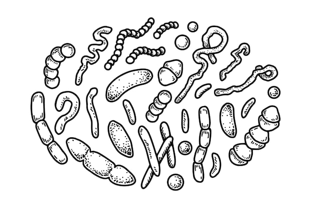 Vector set handgetekende bacteriën en micro-organismen