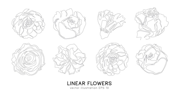 Set handgetekende bloemen in enkele doorlopende lijnstijl. Schets van florale silhouetten