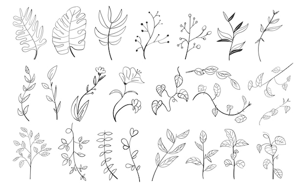 Set Handgetekende Botanische Blad Doodle Wildflower