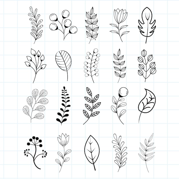 Set handgetekende botanische en florale decoratie-elementen