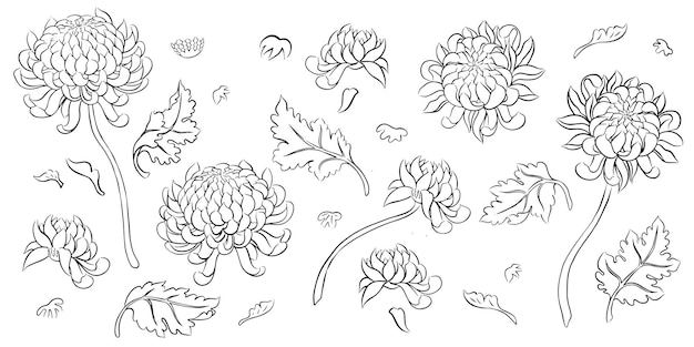 Vector set handgetekende chinese bloem