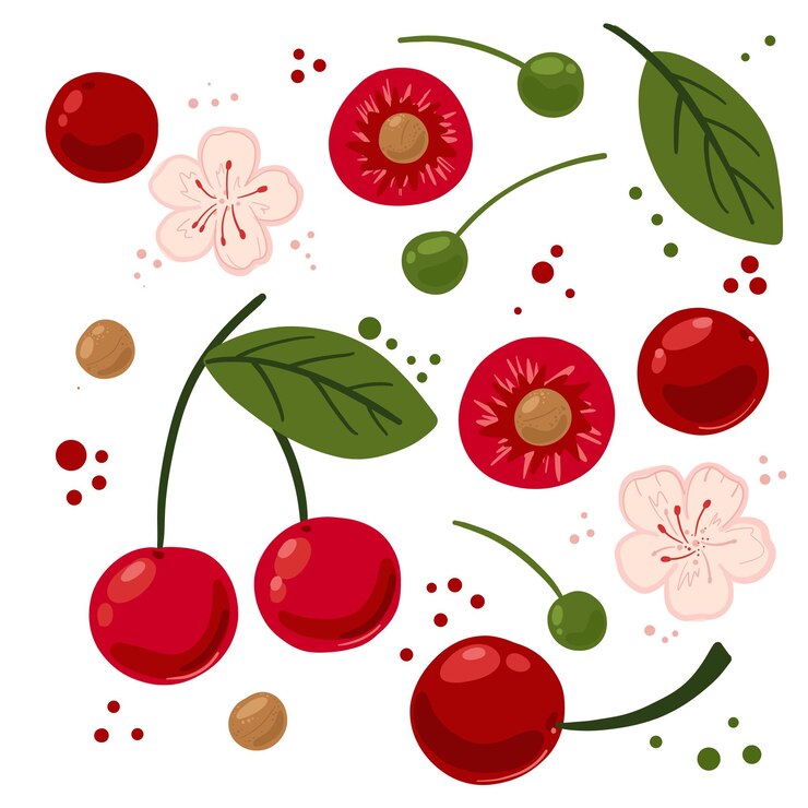 Vector set handgetekende kersen bundel van verse vegetarische kookingrediënten platte cartoonstijl