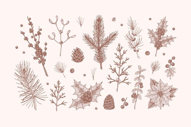 Vector set handgetekende kerstplanten