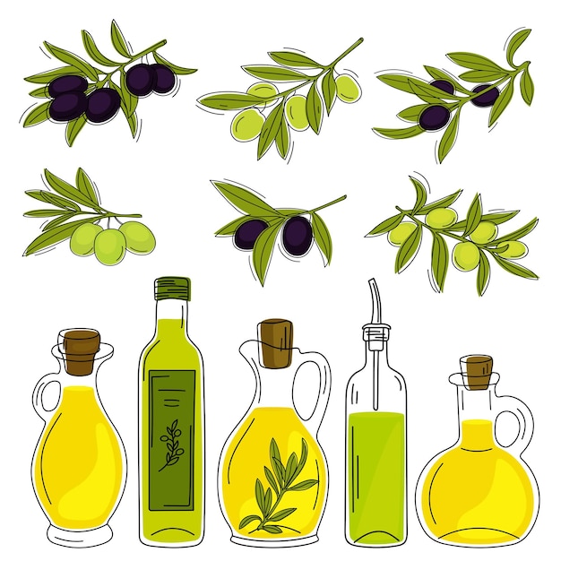 Vector set handgetekende olijftakken en flessen met olijfolie
