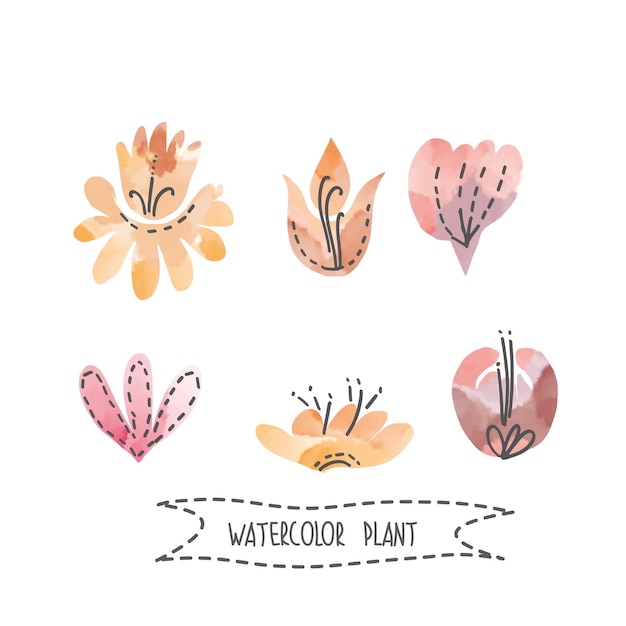 手塗りの水彩ベクトル花とつぼみベクトルデザインのセット