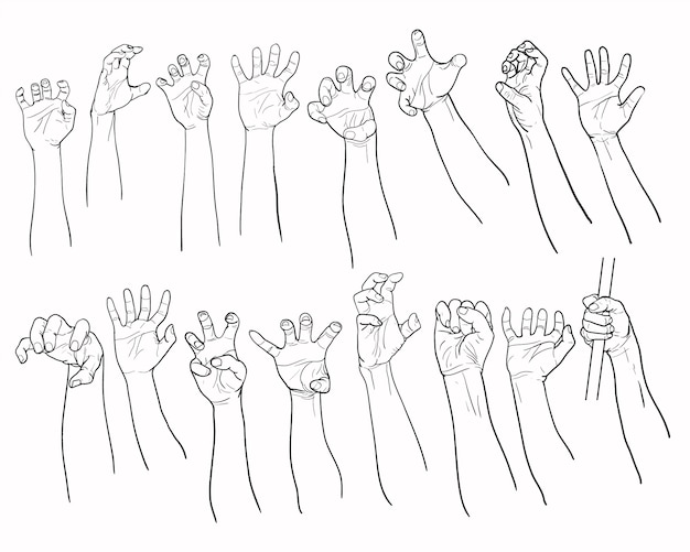Set of hands in many gesture