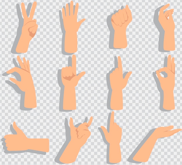 Vector set of hands showing different gestures isolated on a white background. vector flat illustration of female and male hands