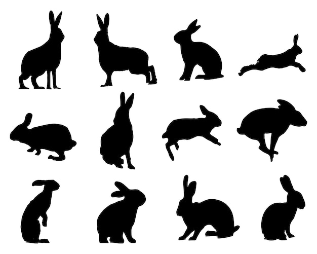 Vector the set of hare or rabbit silhouette collection