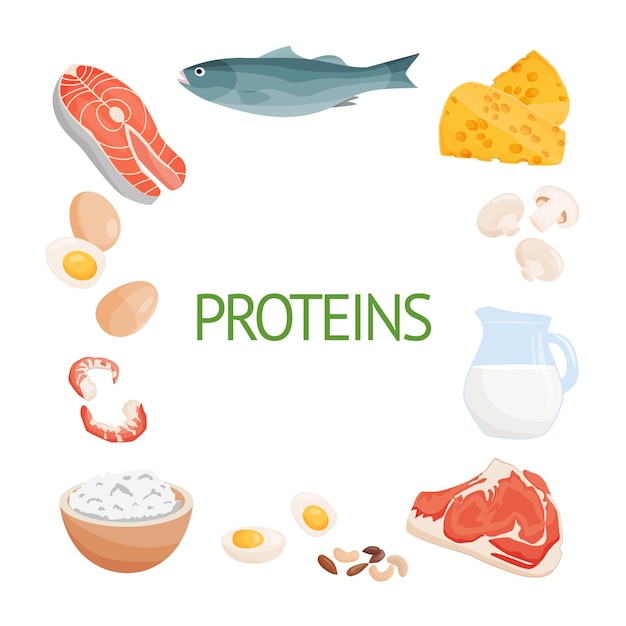 Vector set of healthy food macronutrients proteins presented by food products