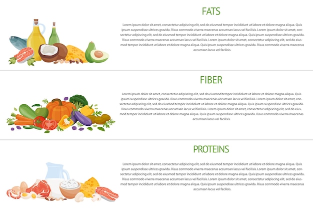 Vector set of healthy macronutrients proteins fats and carbs presented by food products