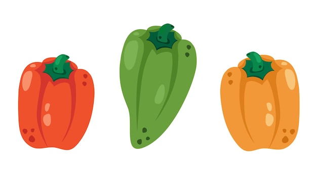 Set hele rode, groene en gele paprika's Verse rijpe paprika Gezonde biologische groenten Vectorillustratie voor een gezonde levensstijl goede voeding vegetarisch