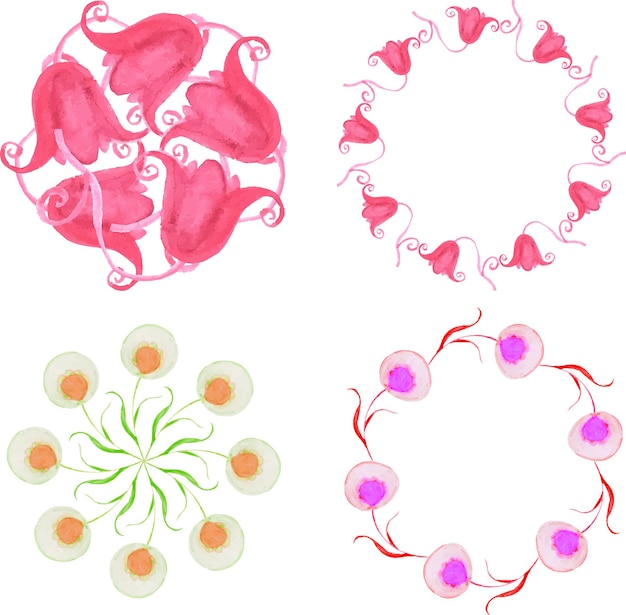 Set of herbal wreaths. Frames or borders. Vector design elements.