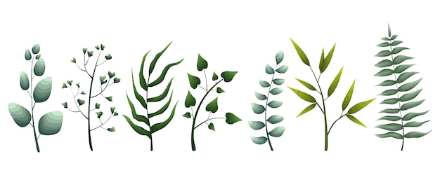 Set of herbs and different leaves for decorating cards