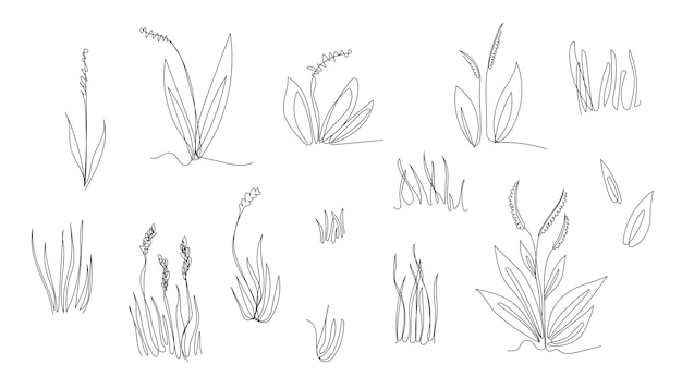 A set of herbs and plants painted in the style of line art