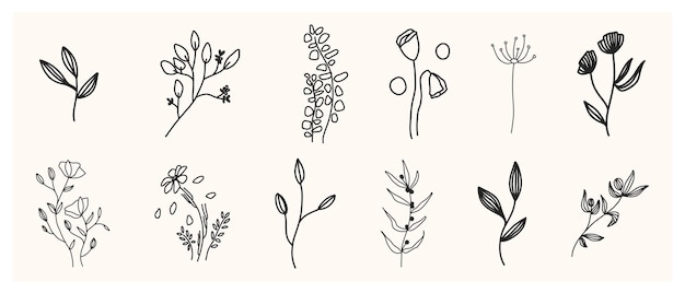 Набор трав и диких цветов Ручной рисунок цветочных элементов Векторная иллюстрация