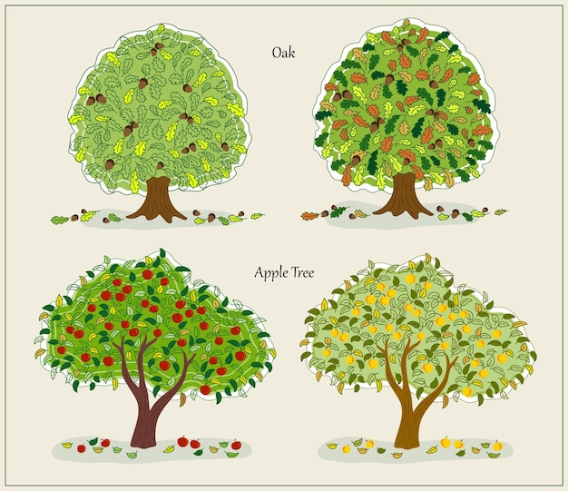 Set herfst bomen op witte achtergrond Eiken appelboom