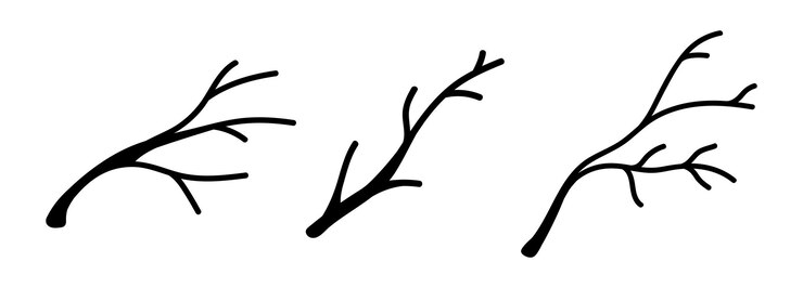 Set herfst boomtakken geïsoleerd. Vector-elementen voor ontwerp, zwarte boomtakken.