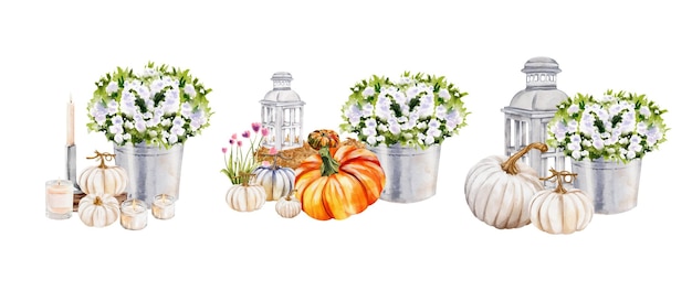 Set herfst pompoen aquarel vector ontwerp