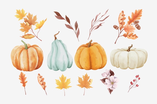 Vector set herfstbladeren en pompoenen in aquarelstijl