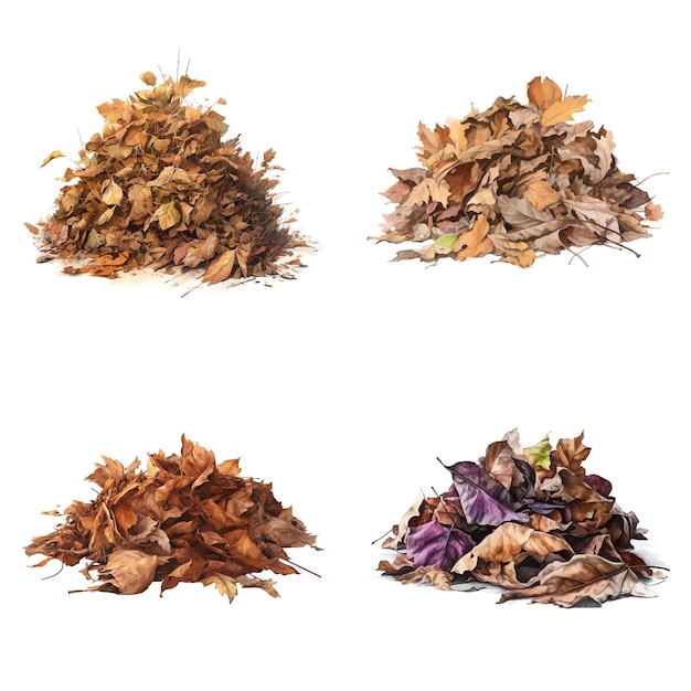 Vector set of a high detailed watercolor element of pile of dead leaf made with ai vector illustration