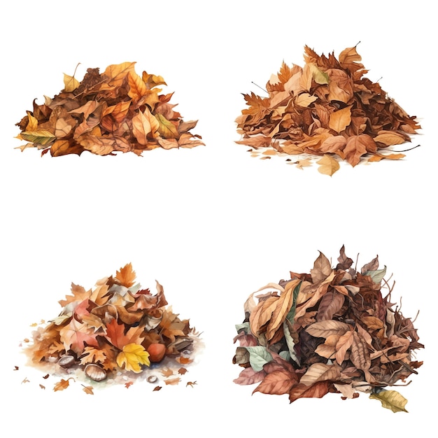 Vector set of a high detailed watercolor element of pile of dead leaf made with ai vector illustration