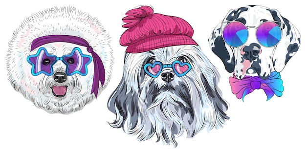 Set of hipster dogs in trendy multicolored mirror sunglasses star disco bichon lion bichon and harle
