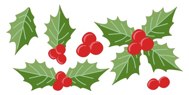 set of holly berry christmas vector elements flat season decoration winter plant fruits holiday illustration isolated on white for postcard in cartoon style tradition festive botanical collection