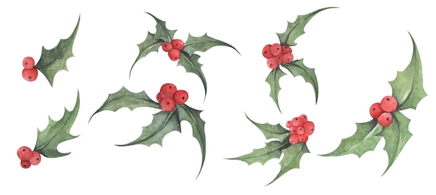 Set of Holly plant Watercolor illustration Christmas and New Year symbol decorative elements