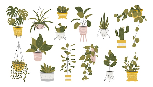 비에 있는 가정용 식물 세트 가정용 꽃 식물 스티커 컬렉션