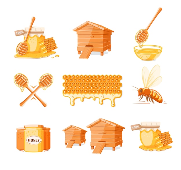 Set of honey elements isolated on white