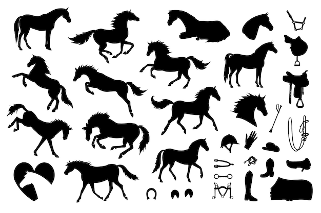 Set of horse riding and equestrian equipment silhouettes