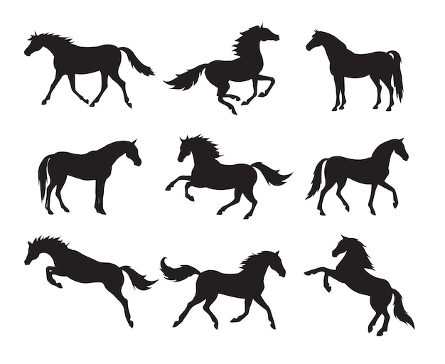 Set of horse silhouettes isolated on white background