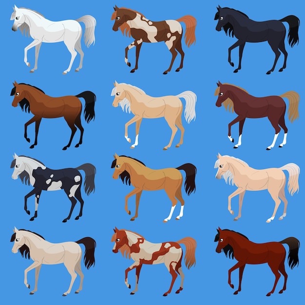 Vector set horses breed. cute flat horse. vector illustration.