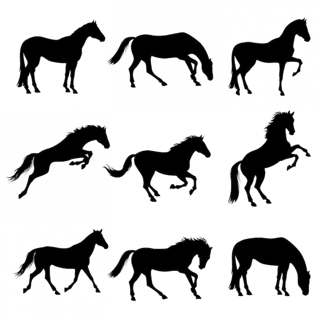 set horses silhouettes collection isolated on white