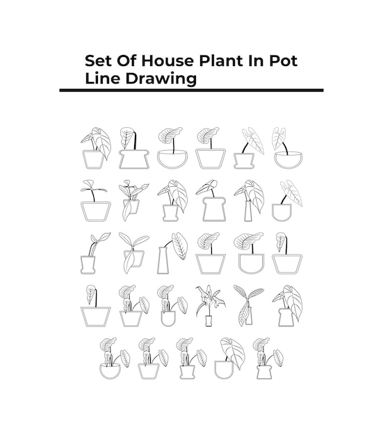 Set of house plant in pot line drawing