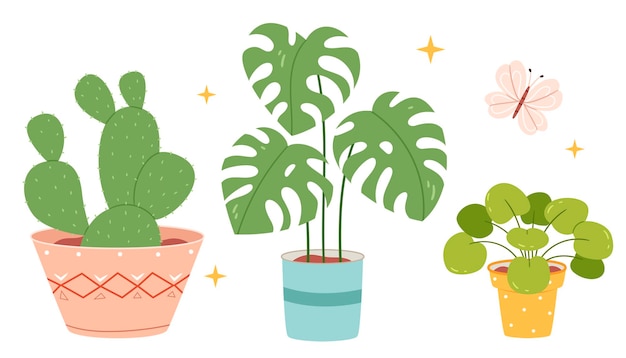 カクタス・モンステラ・ペレア (Cactus monstera pelea) の手描きのポットの室内植物のセット